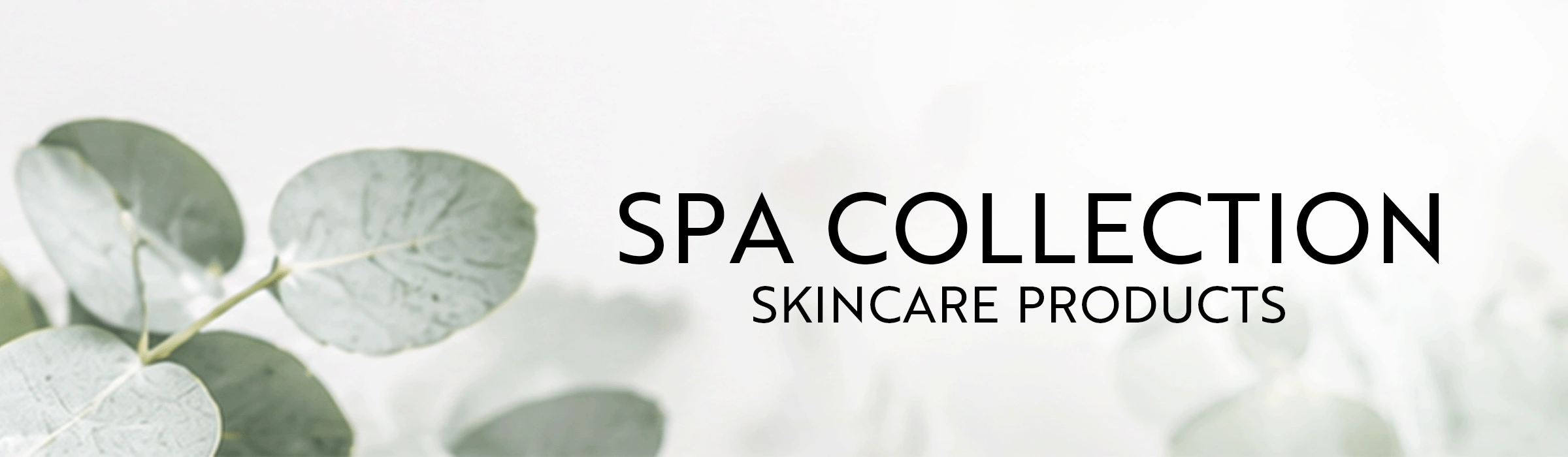 slider-image-https://bed-bath.com/image/5130/sp-banner-skincare-products.png